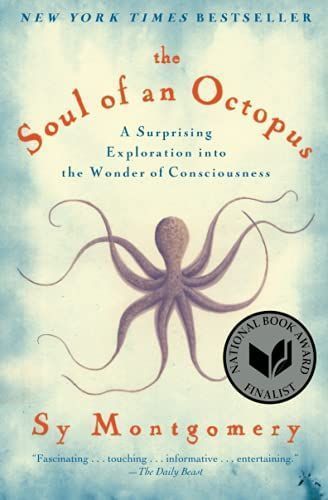 Rendezvous mit einem Oktopus