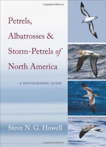 Petrels, Albatrosses, and Storm-Petrels of North America