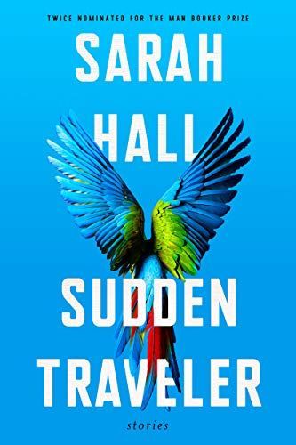 Sudden Traveller