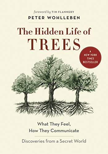 The Hidden Life of Trees: The International Bestseller – What They Feel, How They Communicate