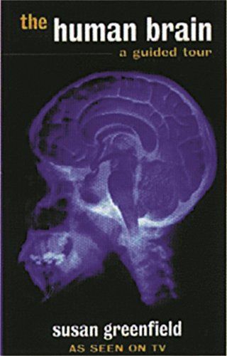 The Human Brain
