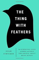 The Thing with Feathers