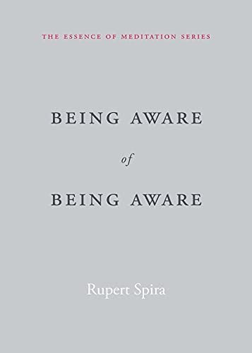 Being Aware of Being Aware