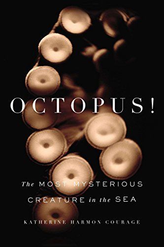 Octopus!