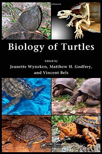 Biology of Turtles