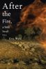 After the Fire, A Still Small Voice