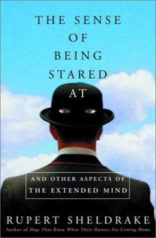The Sense of Being Stared At