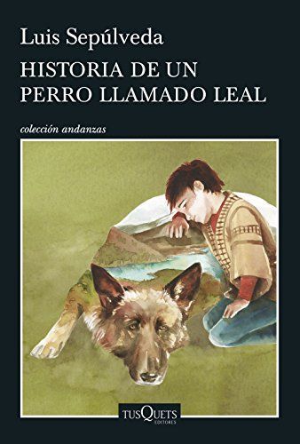 Storia di un cane che insegnò a un bambino la fedeltà