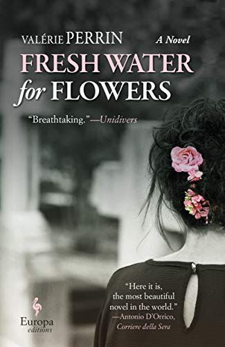Cambiare l'acqua ai fiori