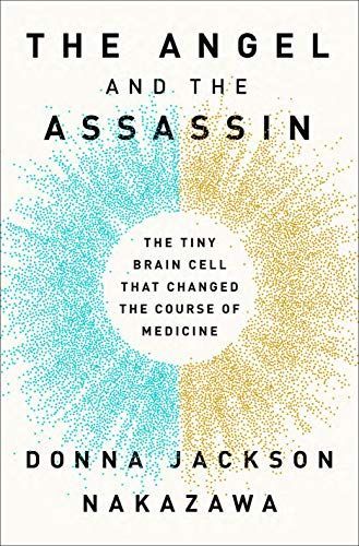 The Angel and the Assassin