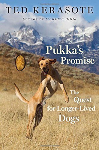 Pukka's Promise