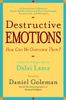 Destructive Emotions