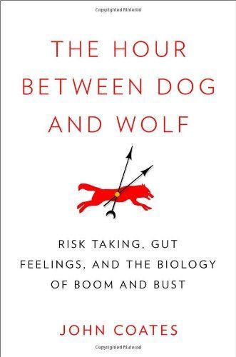 The Hour Between Dog and Wolf: Risk-taking, Gut Feelings and the Biology of Boom and Bust
