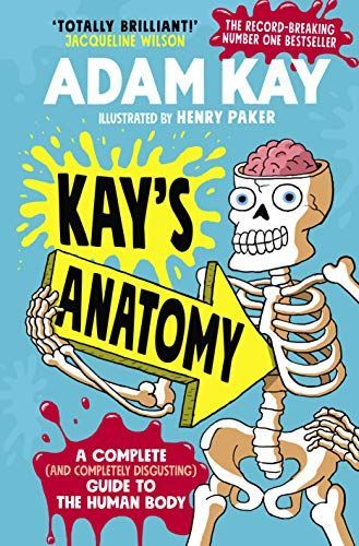 Kay’s Anatomy