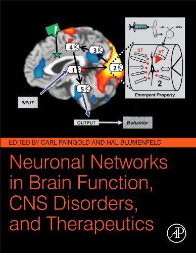 Neuronal Networks in Brain Function, CNS Disorders, and Therapeutics