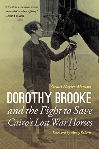 The Lost War Horses of Cairo