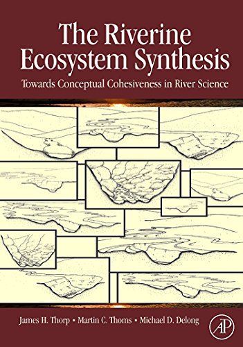 The Riverine Ecosystem Synthesis