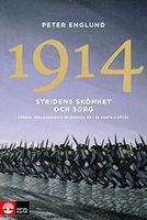 Stridens skönhet och sorg 1914