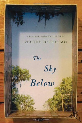 The Sky Below
