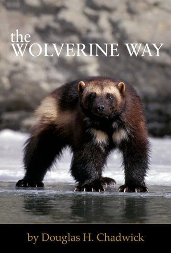 The Wolverine Way