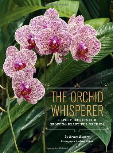 The Orchid Whisperer