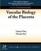 Vascular Biology of the Placenta