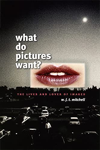 What Do Pictures Want?