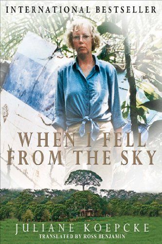 When I Fell From The Sky