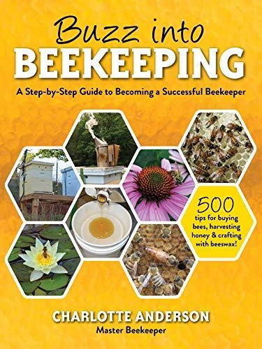 Buzz into Beekeeping