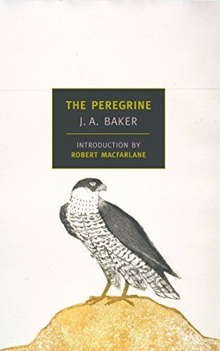 The Peregrine: 50th Anniversary Edition: Afterword by Robert Macfarlane