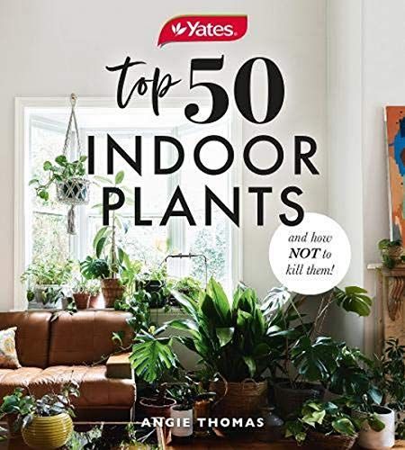 Yates Top 50 Indoor Plants And How Not To Kill Them!