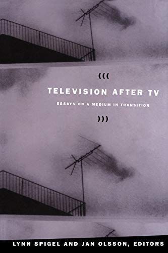 Television after TV