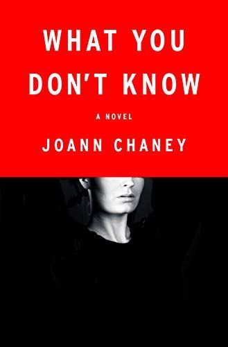 What You Don't Know: Ebook Sampler