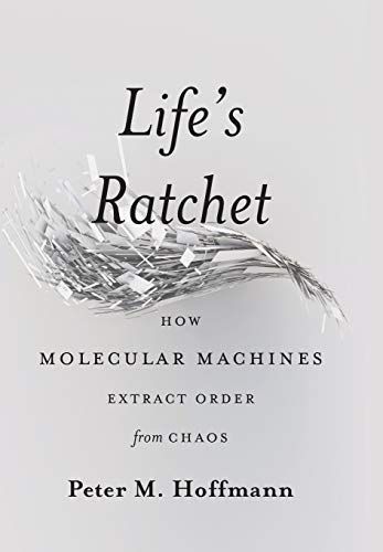 Life's Ratchet