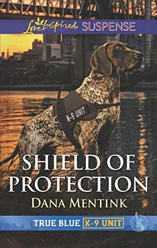 Shield of Protection