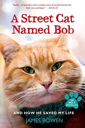 Gatukatten Bob