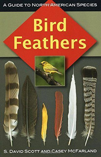 Bird Feathers