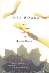 Lost Woods
