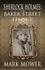 Sherlock Holmes: The Baker Street Legacy