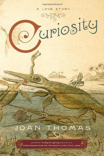 Curiosity