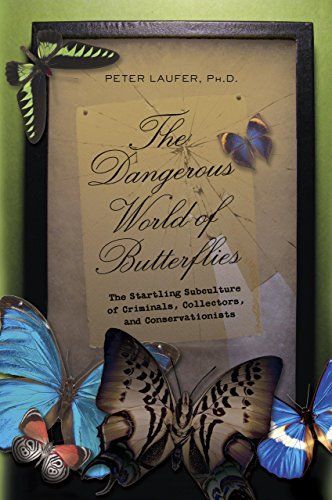 Dangerous World of Butterflies