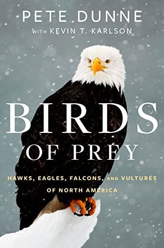 Birds of Prey