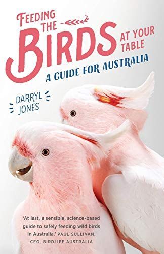 Feeding the Birds at Your Table