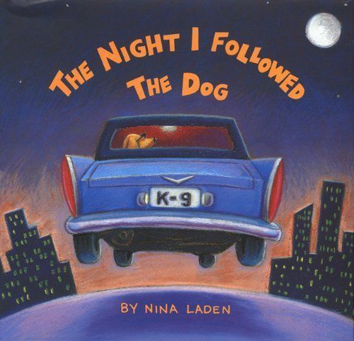 The Night I Followed the Dog