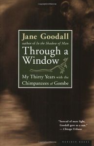 Through a Window