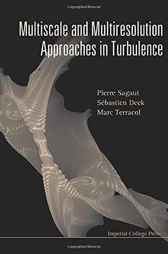 Multiscale and Multiresolution Approaches in Turbulence