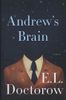 Andrew's Brain