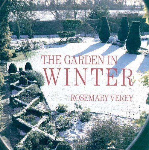 The Garden in Winter