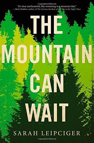 The Mountain Can Wait