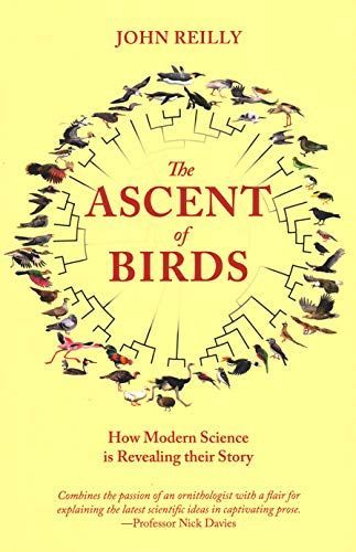 The Ascent of Birds